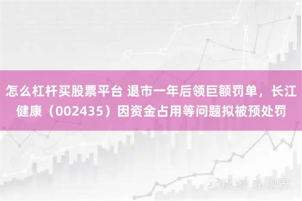 怎么杠杆买股票平台 退市一年后领巨额罚单，长江健康（002435）因资金占用等问题拟被预处罚