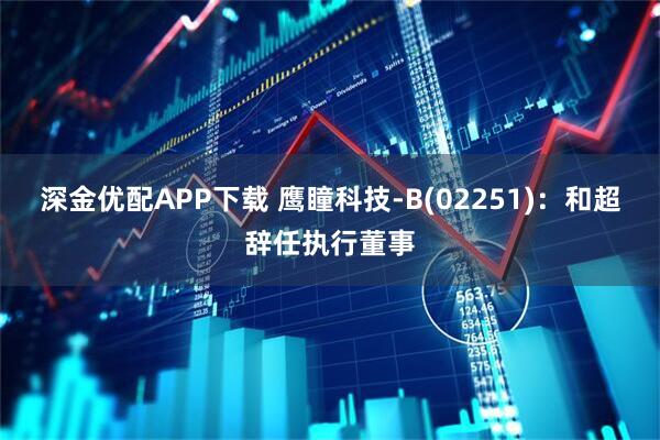 深金优配APP下载 鹰瞳科技-B(02251)：和超辞任执行董事