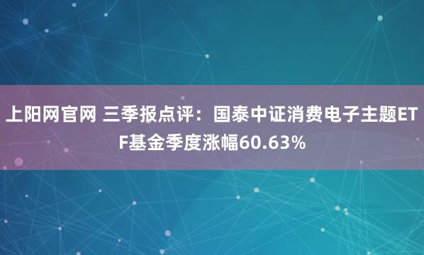 上阳网官网 三季报点评:国泰中证消费电子主题ETF基金季度涨幅60.63%